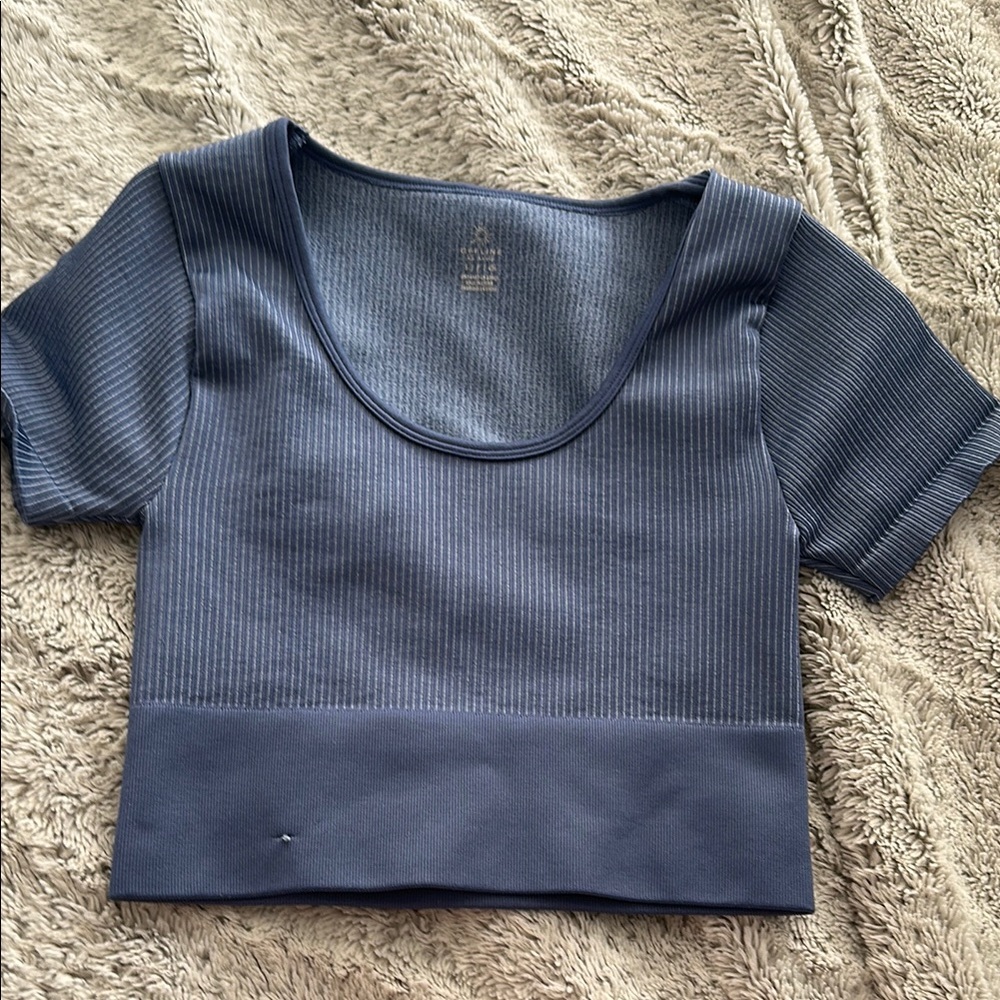 Aerie Blue Ribbed Crop Top Short Sleeve Fitted